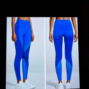 Vibrant Blue Women's Leggings